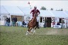 UKPA  NC Sat_1536